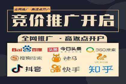 揭秘百度包年竞价优势：成功案例深度解析